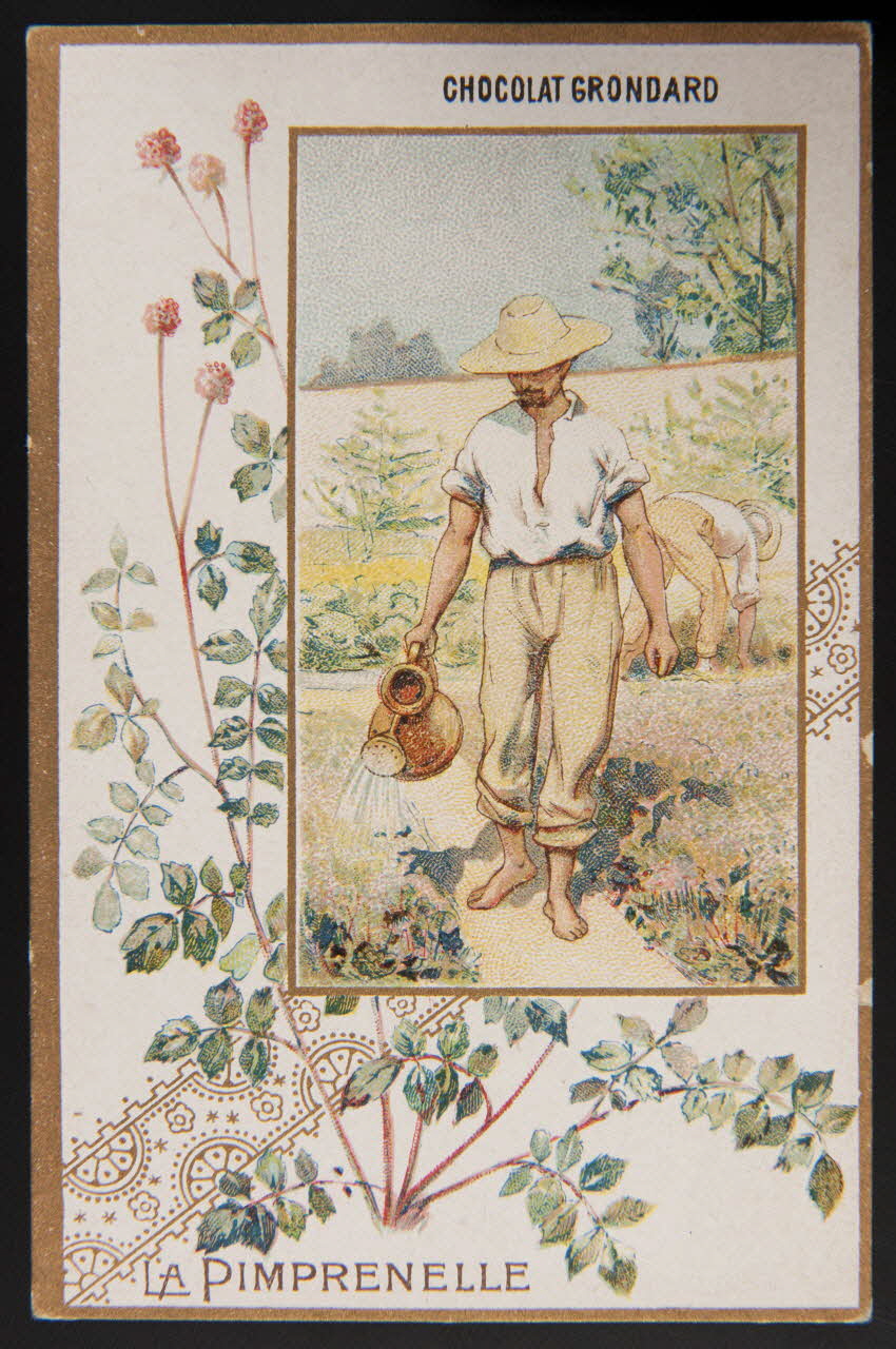 carte réclame chromo 1996.40.502.9 Photo