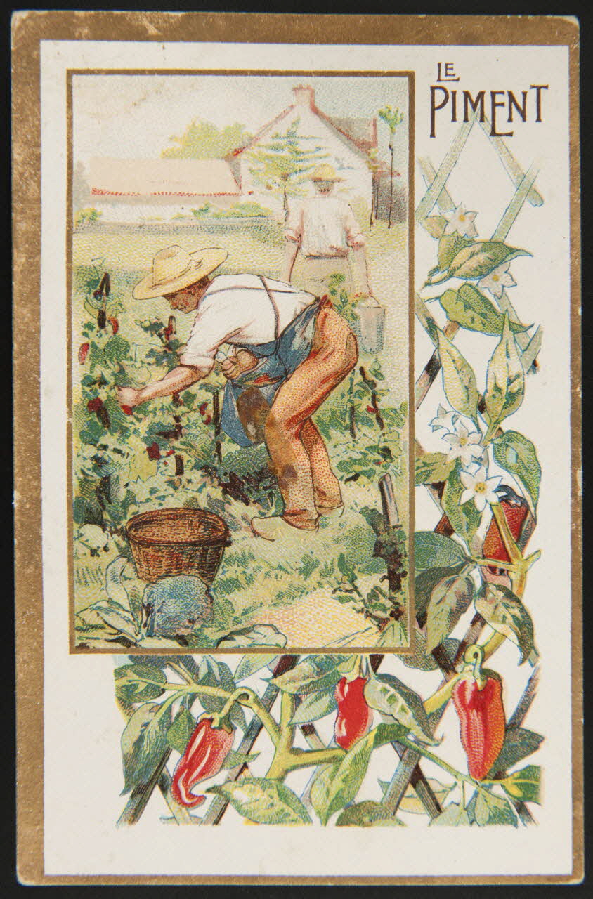 carte réclame chromo 1996.40.508.11 Photo