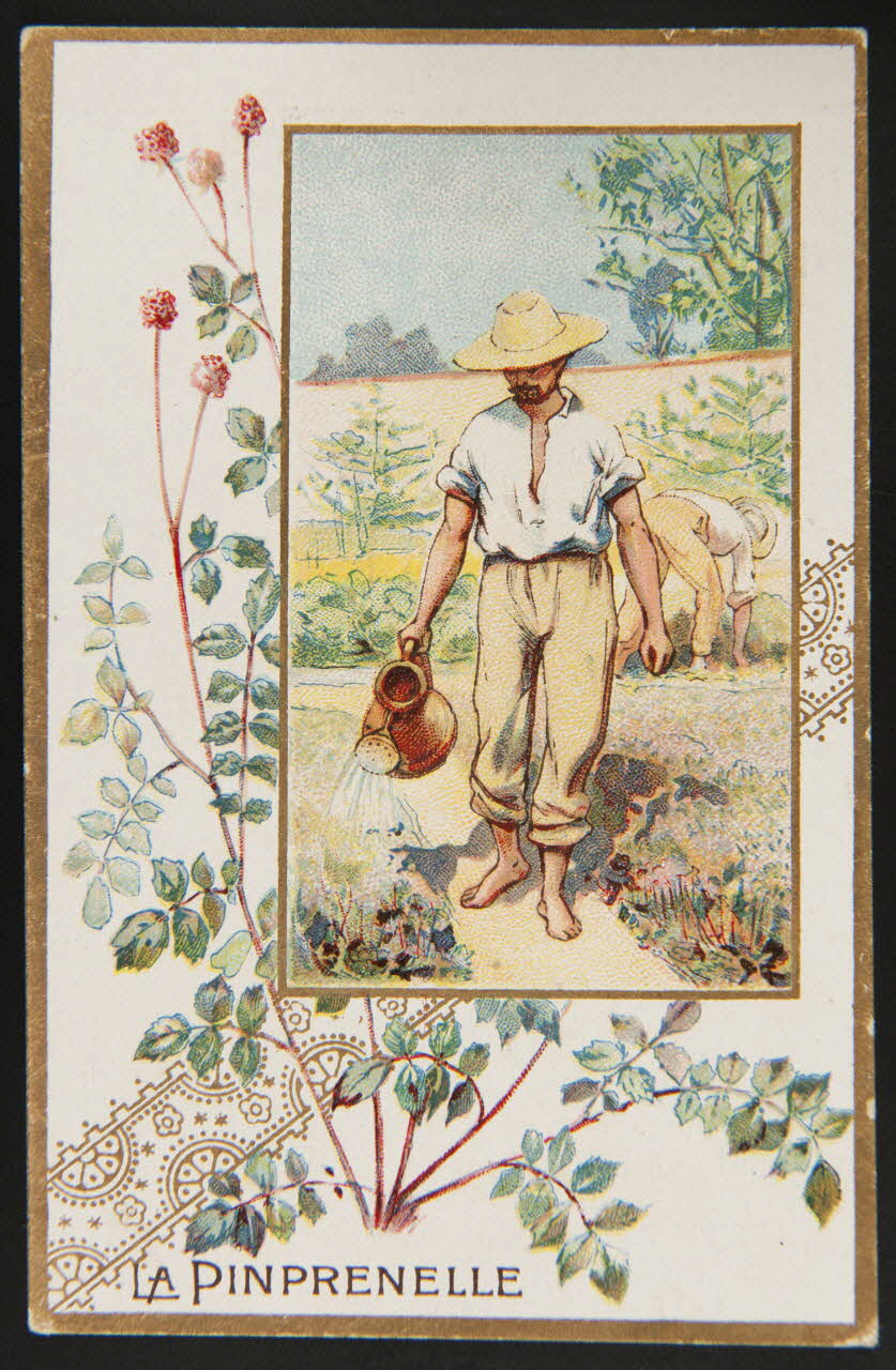 carte réclame chromo 1996.40.508.12 Photo