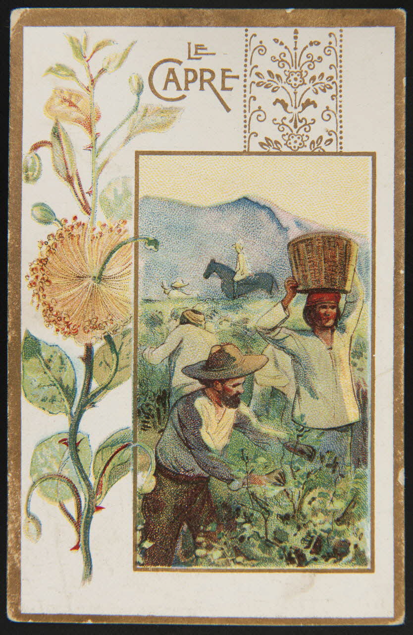 carte réclame chromo 1996.40.508.4 Photo