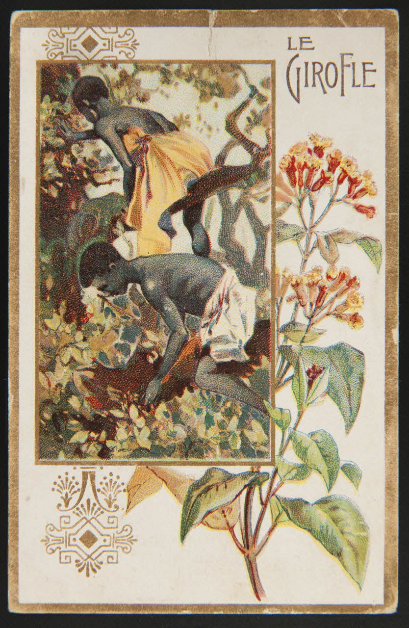 carte réclame chromo 1996.40.508.6 Photo