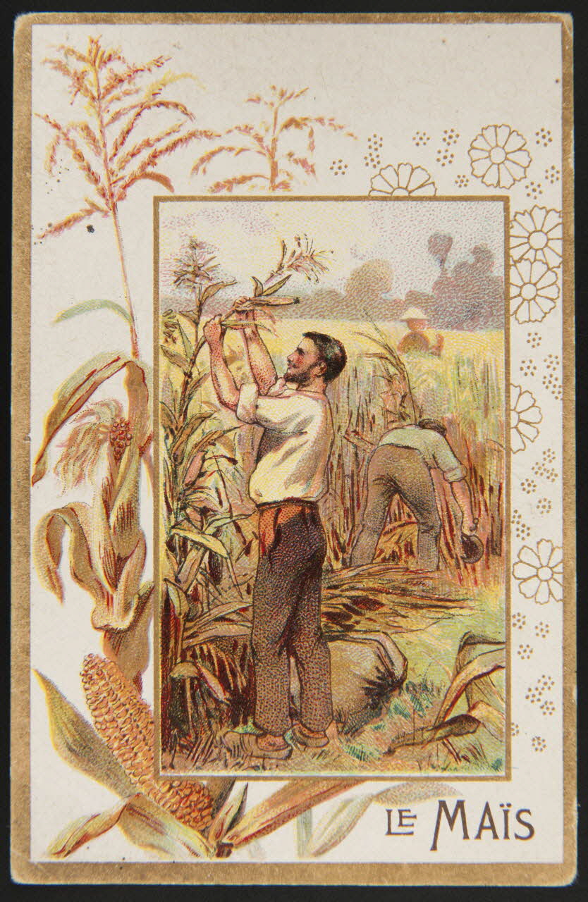 carte réclame chromo 1996.40.508.8 Photo