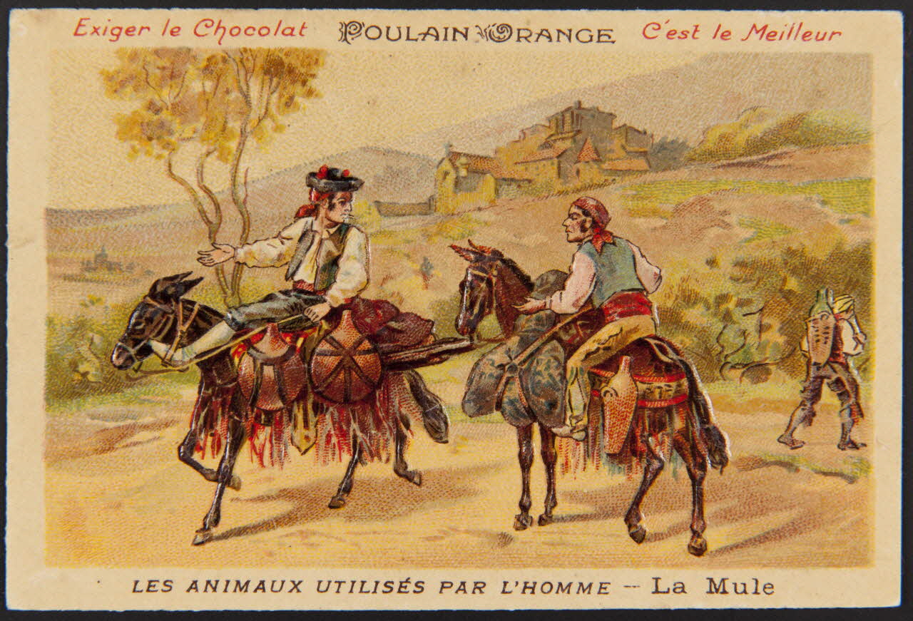 carte réclame chromo 1996.40.535.1 Photo