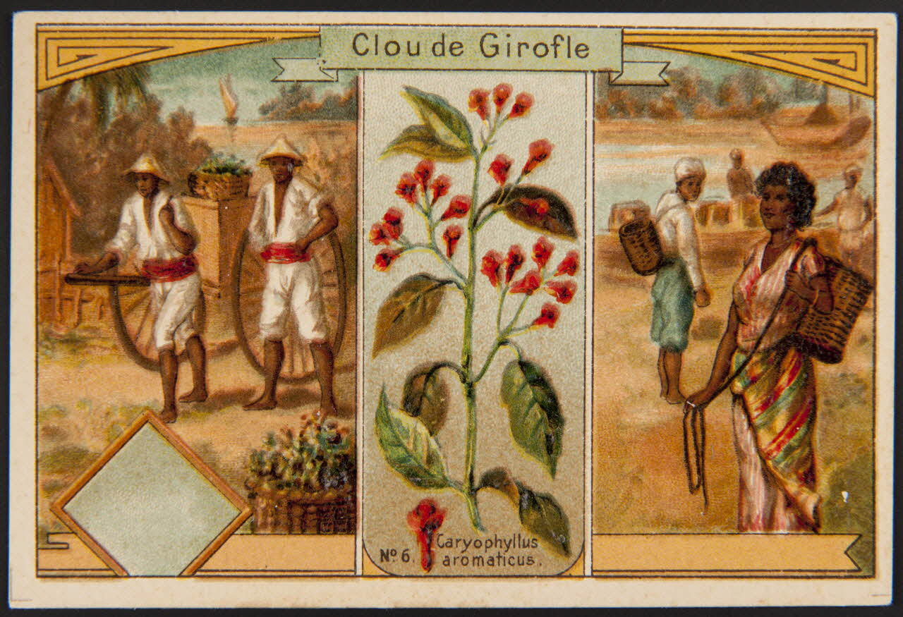 carte réclame chromo 1996.40.536.2 Photo
