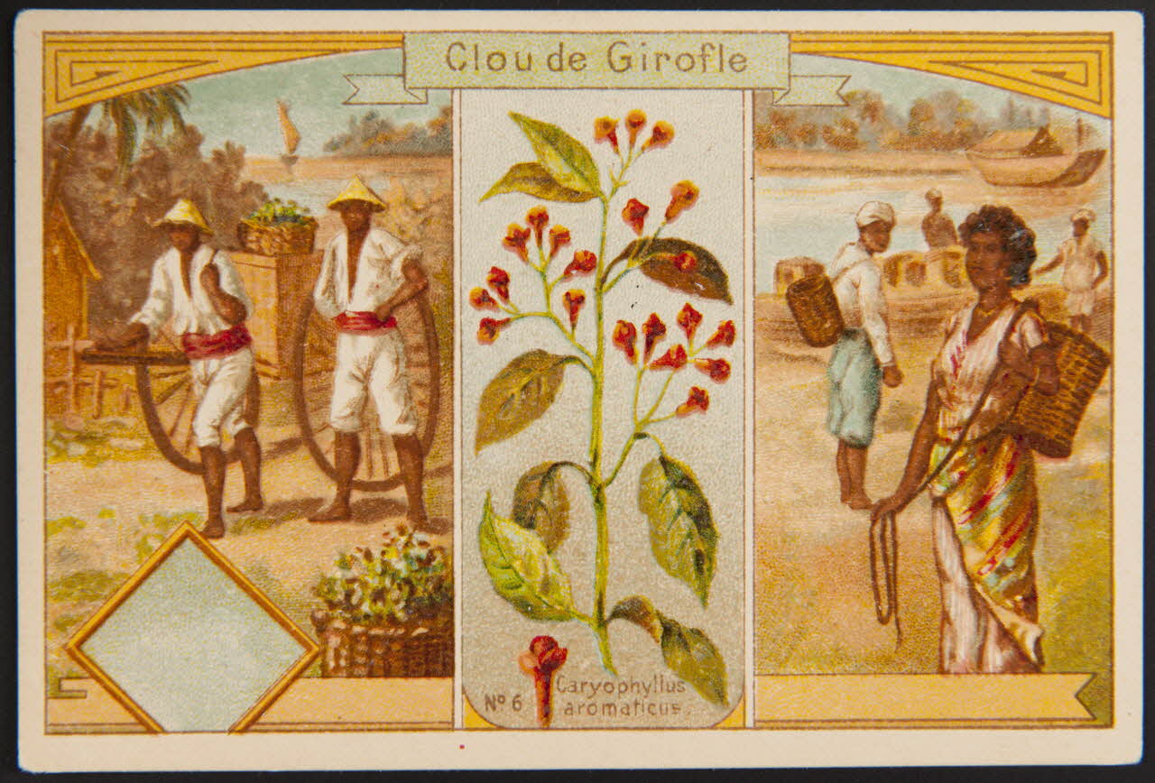carte réclame chromo 1996.40.536.3 Photo