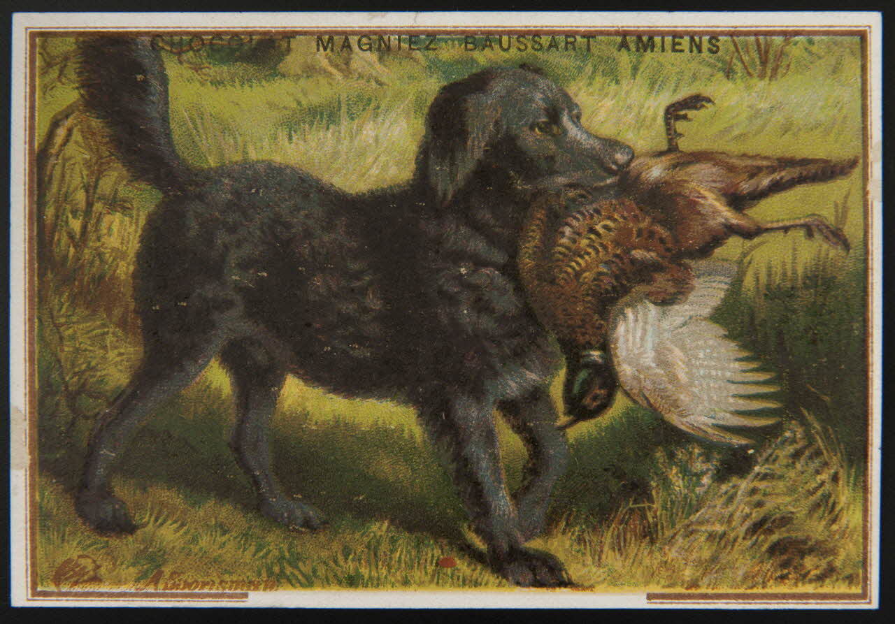 carte réclame chromo Paris 1900 1996.40.808.3 Photo