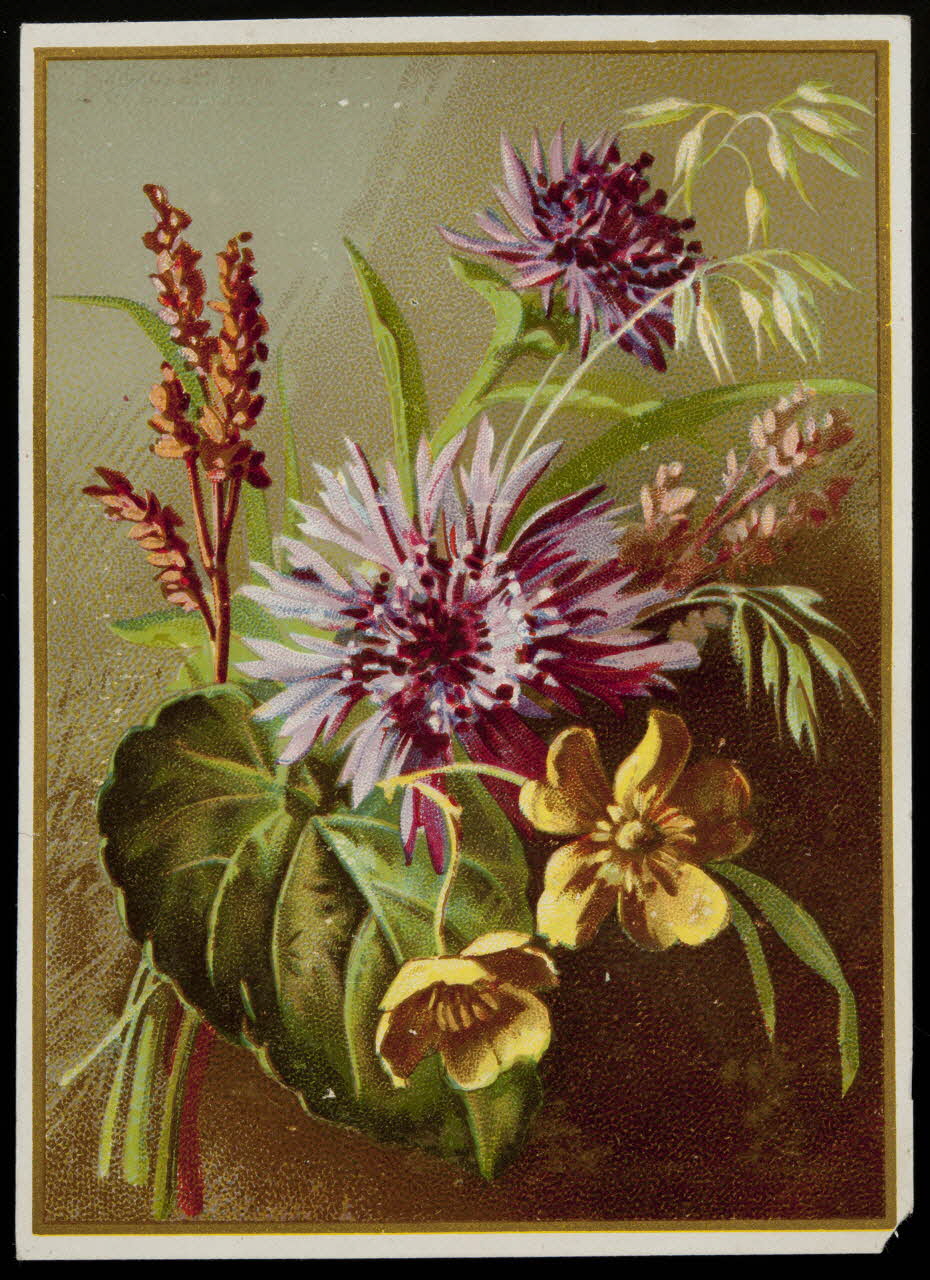 carte réclame chromo Paris 1900 1996.40.810.1 Photo