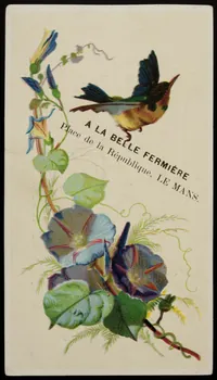 Echidet Max carte réclame chromo Paris 1900 1996.40.828.1  Photo