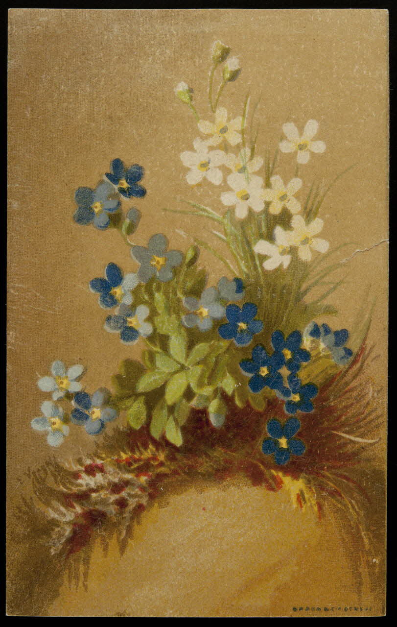 carte réclame chromo 1996.40.871.1 Photo