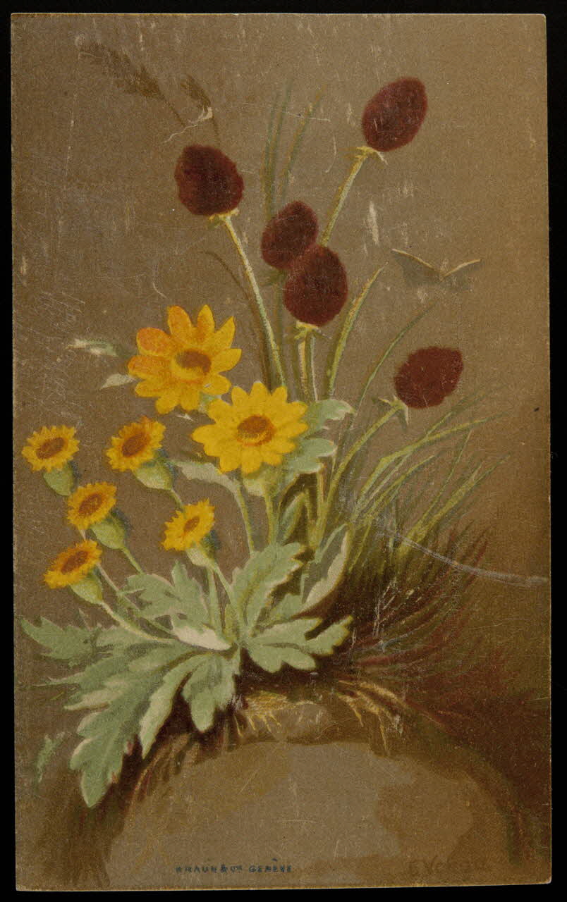 carte réclame chromo 1996.40.871.2 Photo