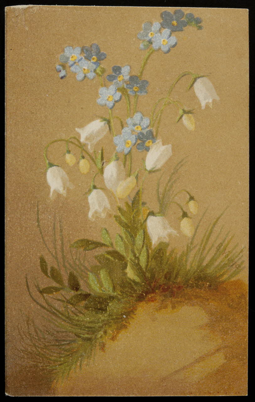 carte réclame chromo 1996.40.871.3 Photo