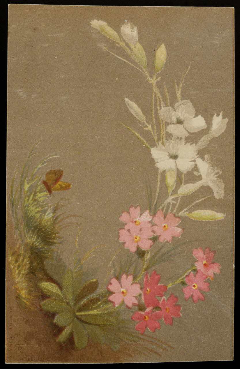 carte réclame chromo 1996.40.871.4 Photo