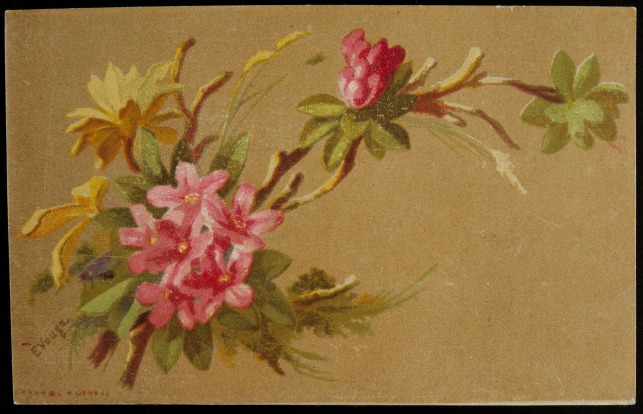 carte réclame chromo 1996.40.871.5 Photo