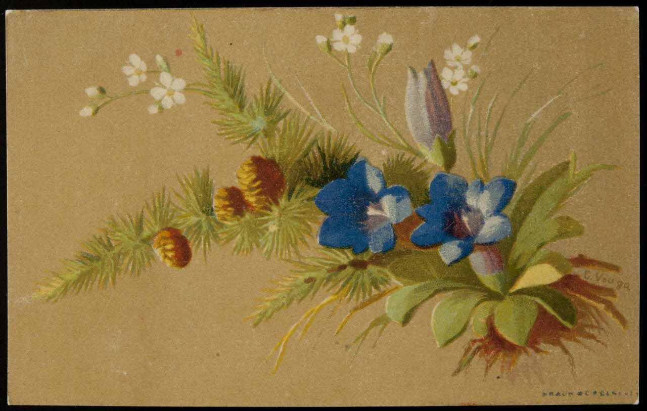 carte réclame chromo 1996.40.871.6 Photo