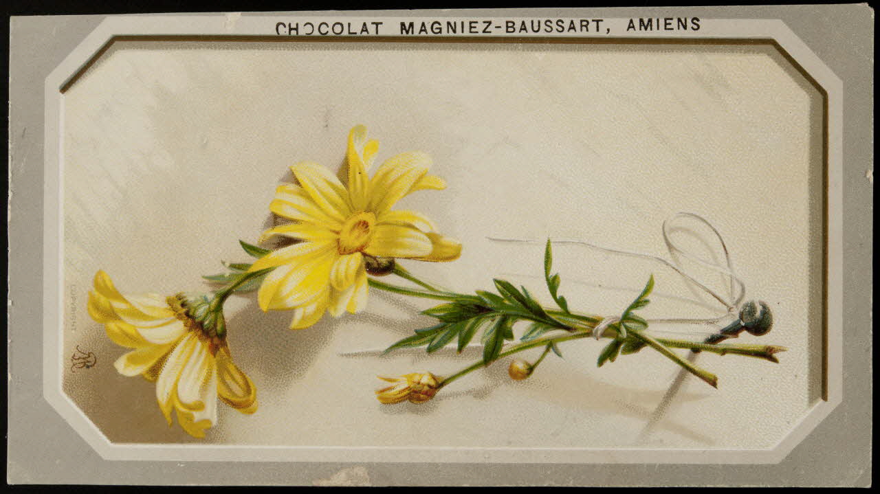 carte réclame chromo 1996.40.874.1 Photo