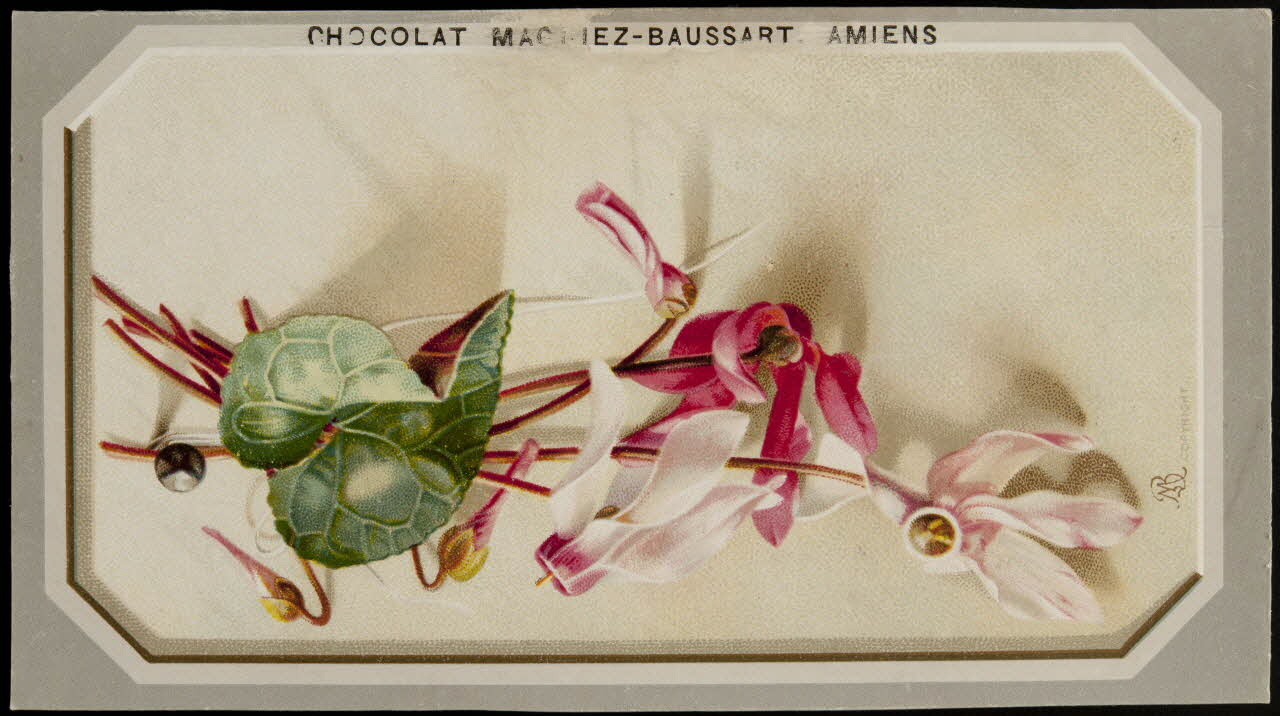 carte réclame chromo 1996.40.874.2 Photo