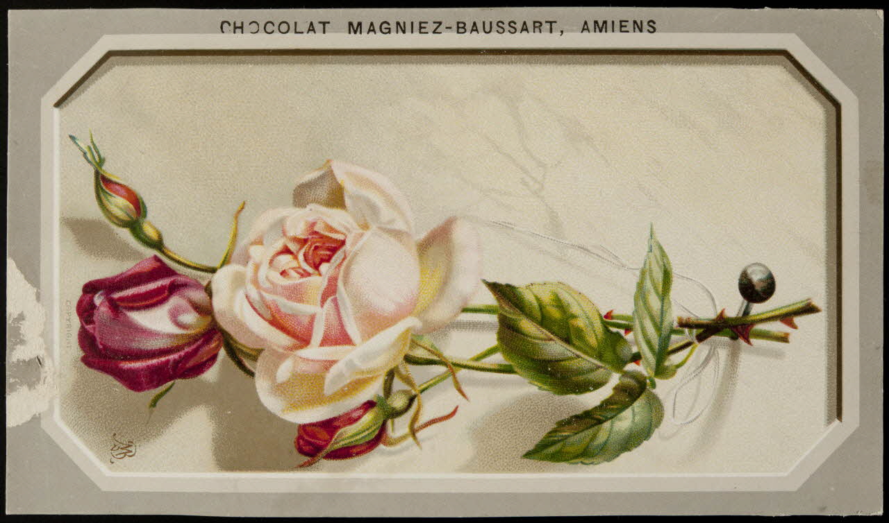 carte réclame chromo 1996.40.874.3 Photo