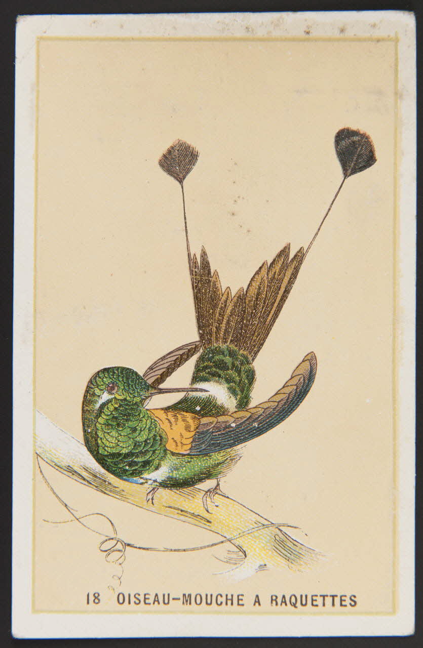 carte réclame chromo 1996.40.880.10 Photo