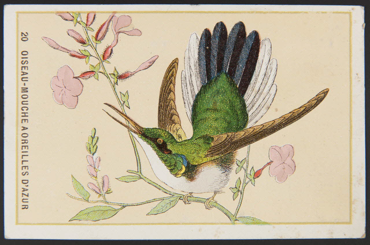 carte réclame chromo 1996.40.880.12 Photo