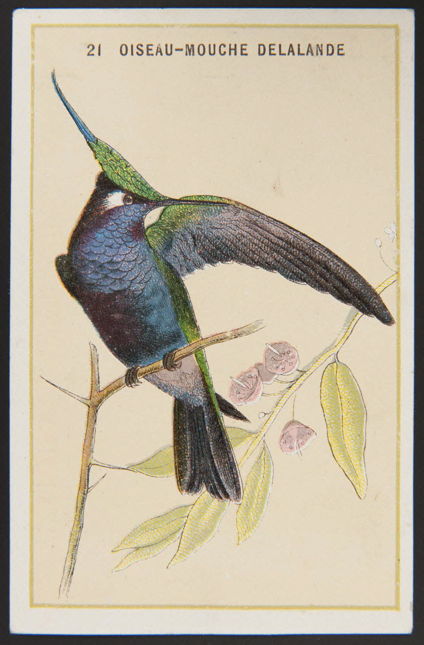 carte réclame chromo 1996.40.880.13 Photo