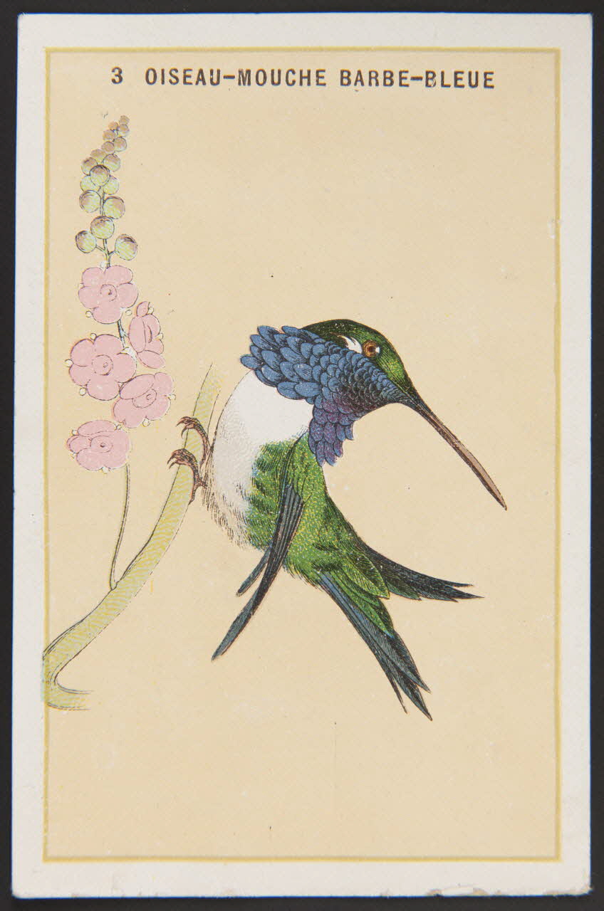 carte réclame chromo 1996.40.880.3 Photo