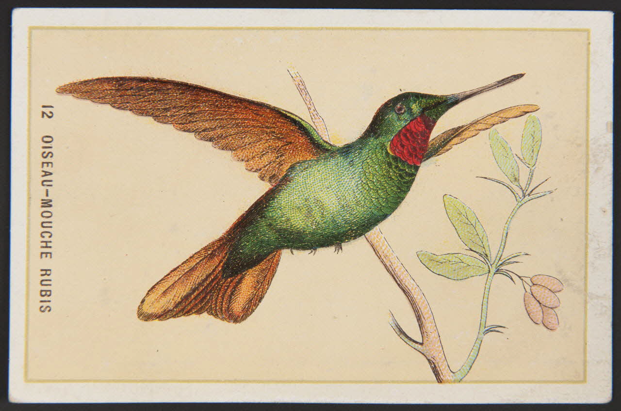 carte réclame chromo 1996.40.880.7 Photo