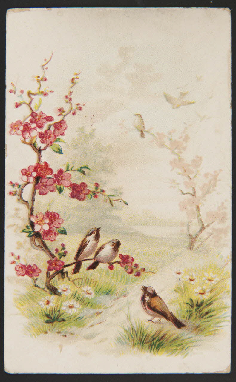 carte réclame chromo 1996.40.884.2 Photo