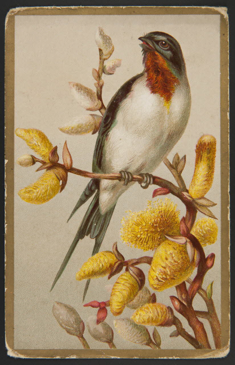 carte réclame chromo 1996.40.898.1 Photo