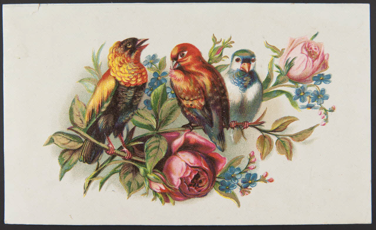 carte réclame chromo 1996.40.909.1 Photo