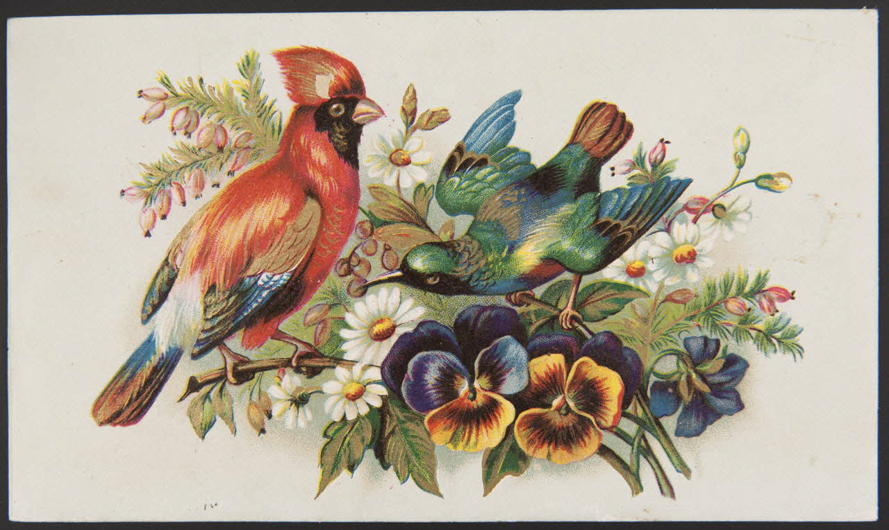 carte réclame chromo 1996.40.909.2 Photo