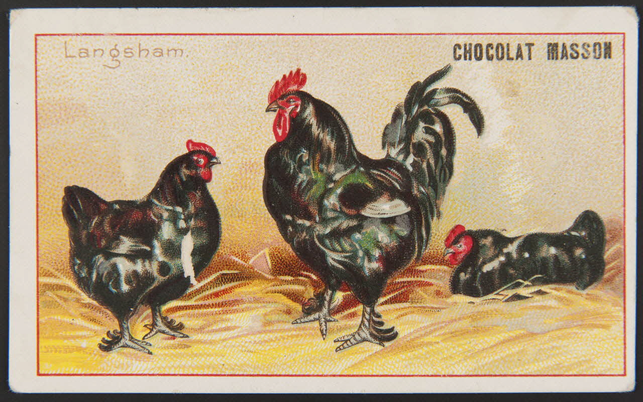 carte réclame chromo 1996.40.917.1 Photo