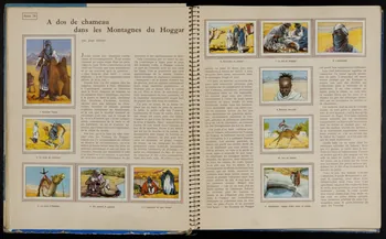 album LES  MERVEILLES  DU  MONDE  VOLUME 4  1957-1958  EDITE PAR  LES CHOCOLATS  NESTLE ET KOHLER France 1958 2007.46.195 Photo