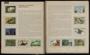 album LES  MERVEILLES  DU MONDE  LA NATURE ET SES SECRETS  RÊVES D'HIER, REALITES D'AUJOURD'HUI  VOLUME 5 1959-1960  EDITE PAR  LE CHOCOLAT  NESTLE  ET  LE CHOCOLAT  KOHLER France 1960 2007.46.196 Photo