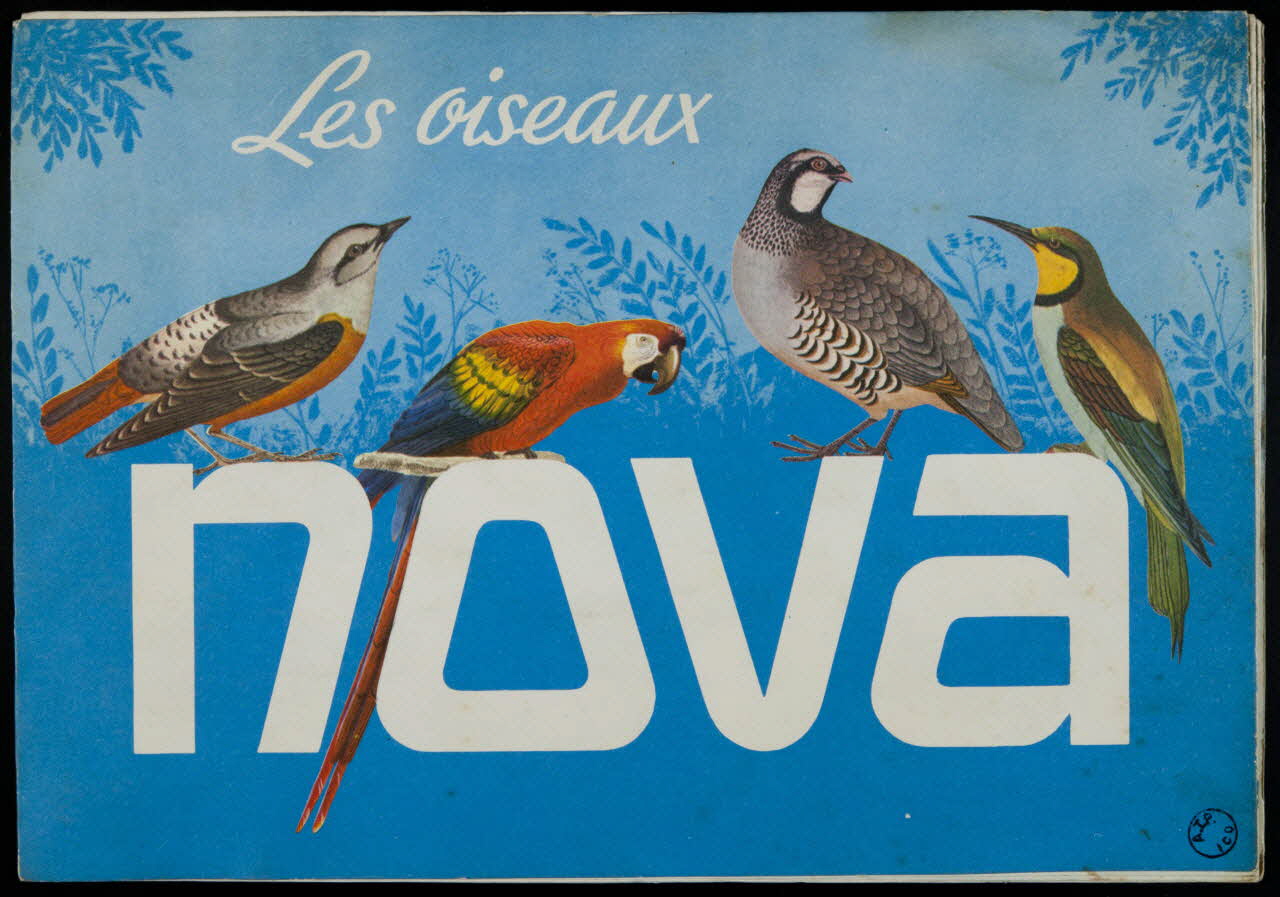 album Les oiseaux  NOVA Haute-Normandie, France 1960-1970 2007.46.199 Photo