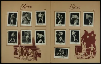 album Album de 90 Photos Sports Chocolat Boya France 1950-1960 2007.46.20  Photo