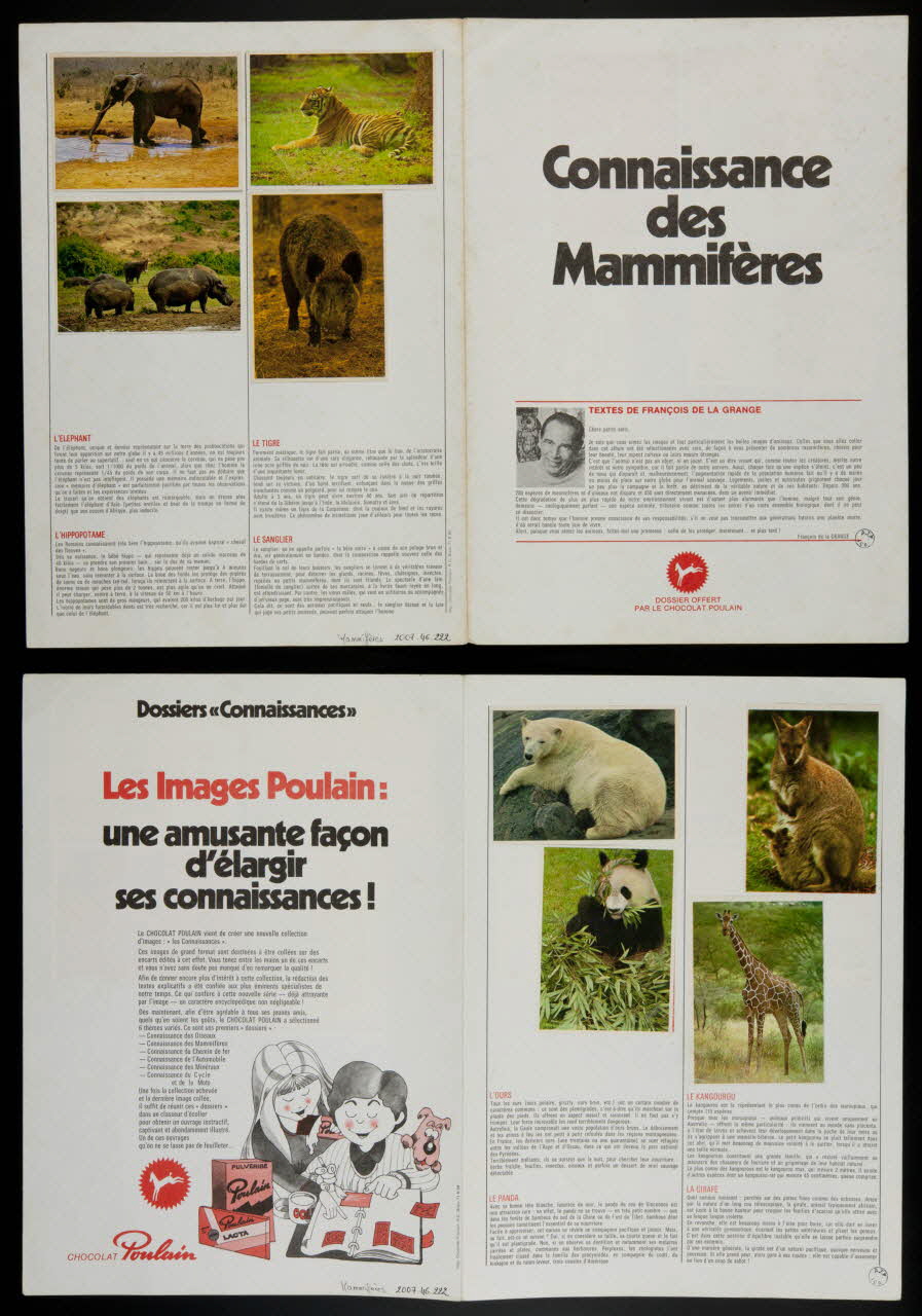album Connaissance  des  Mammifères France 1974 2007.46.222 Photo