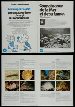 album Connaissance  de la Mer  et de sa faune.  (Côtes françaises) France 1980 2007.46.241 Photo