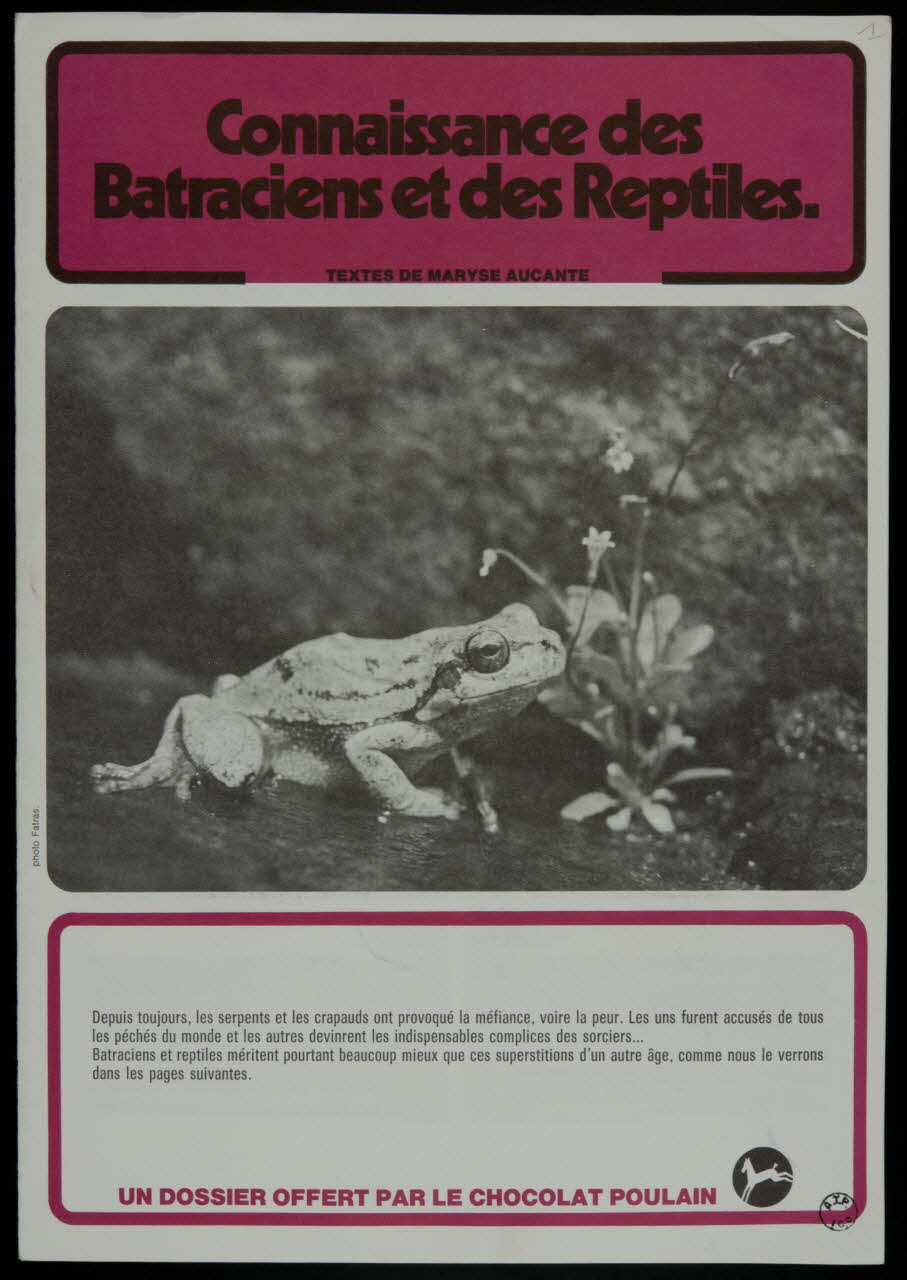 album Connaissance des  Batraciens et des Reptiles. France 1982 2007.46.247 Photo