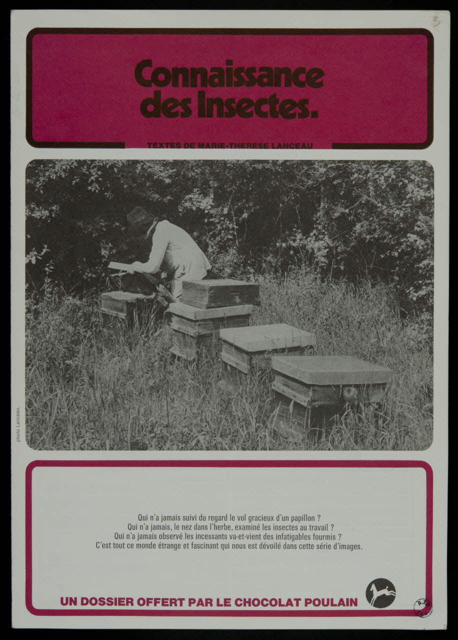 album Connaissance  des Insectes. France 1982 2007.46.248  Photo