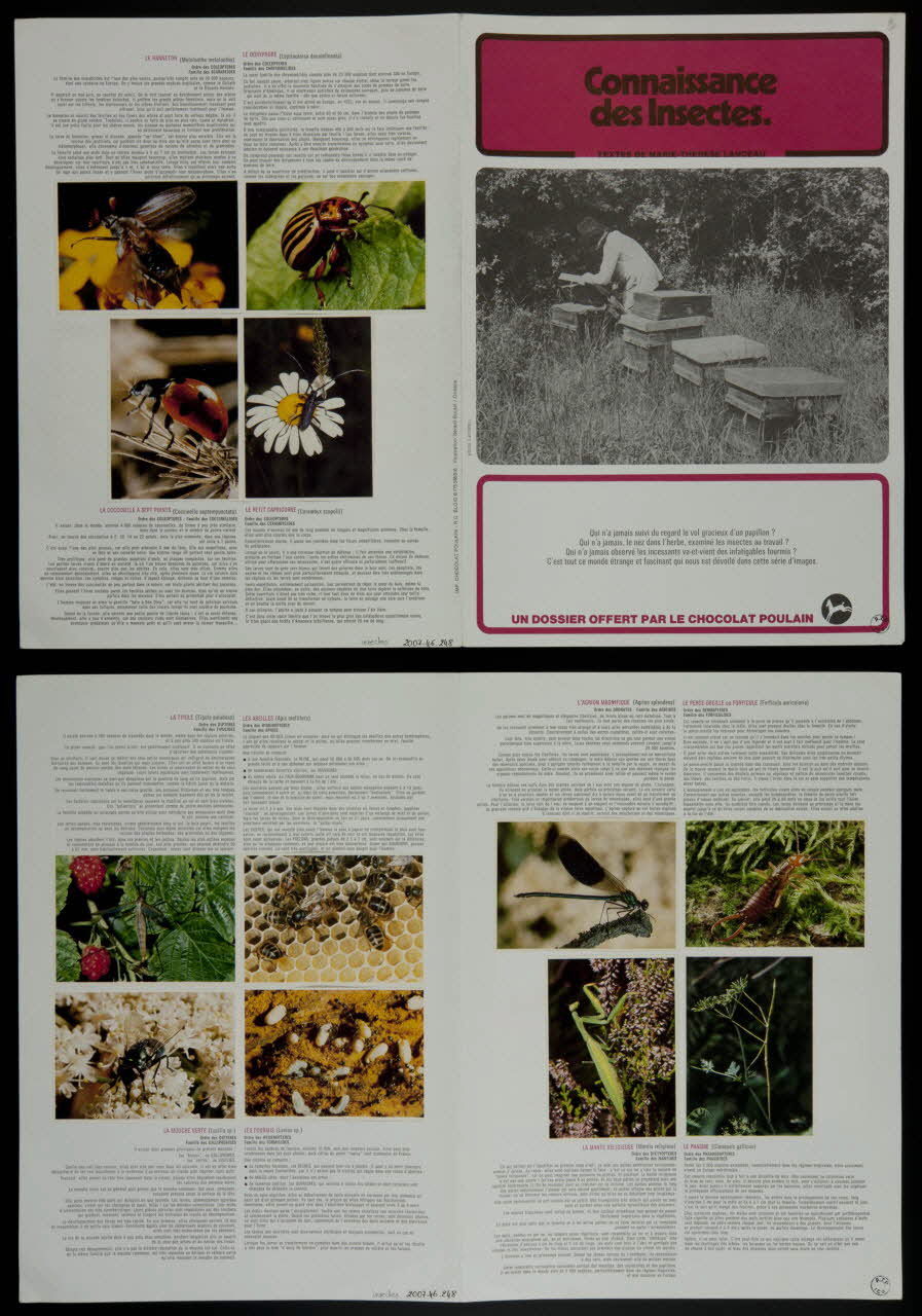 album Connaissance  des Insectes. France 1982 2007.46.248  Photo