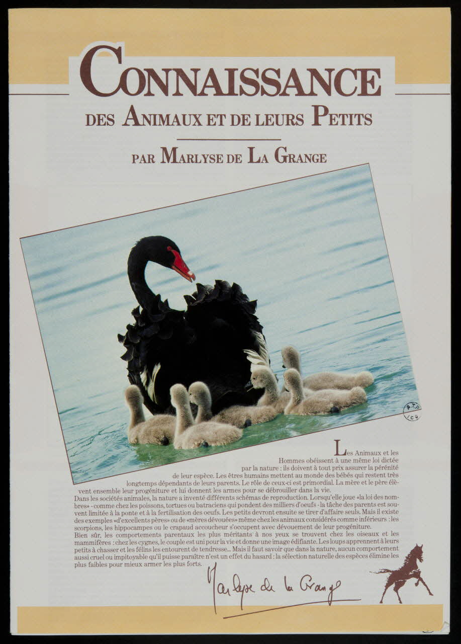 album CONNAISSANCE  DES ANIMAUX ET DE LEURS PETITS France 1988 2007.46.265 Photo