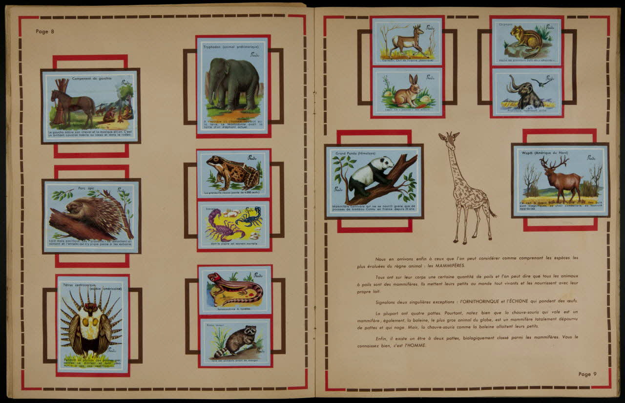 album Tout ce qui fait un monde  Collection  du Chocolat  Prado France 1960-1970 2007.46.271 Photo