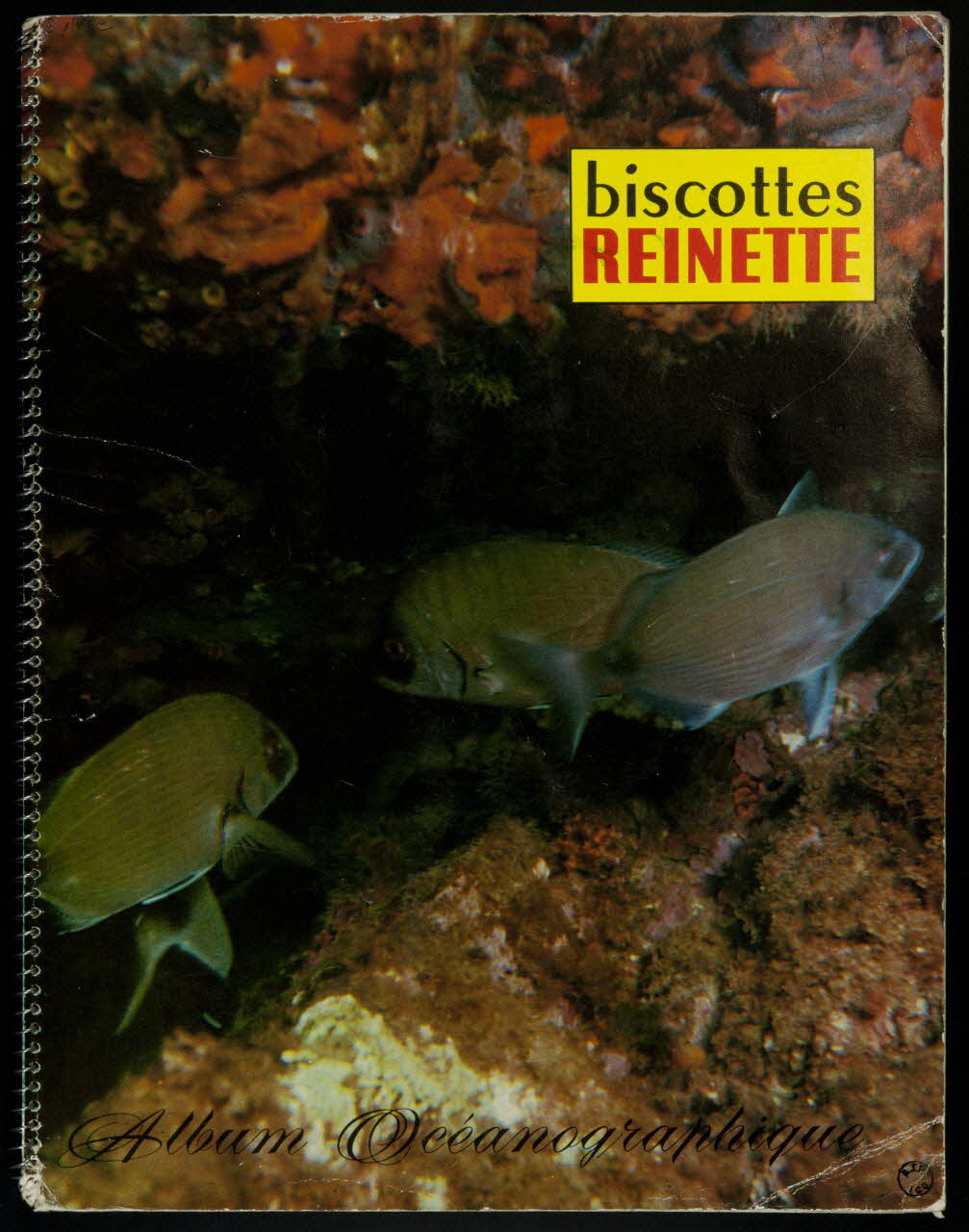 album biscottes  REINETTE  Album Océanographique France 1963 2007.46.281 Photo