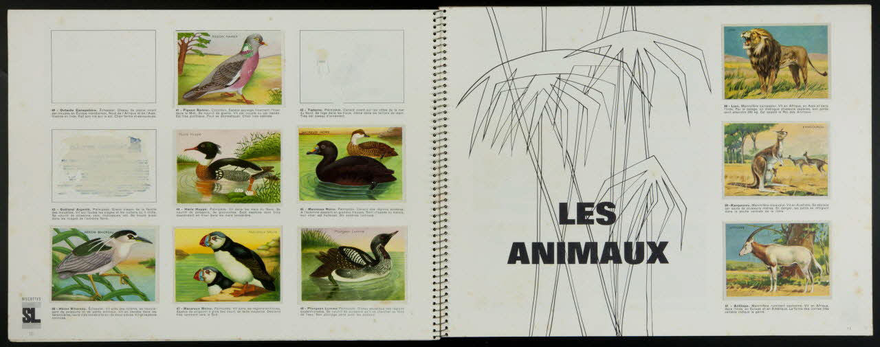 album L'UNIVERS  EN COULEURS  SL France 1960-1970 2007.46.293 Photo