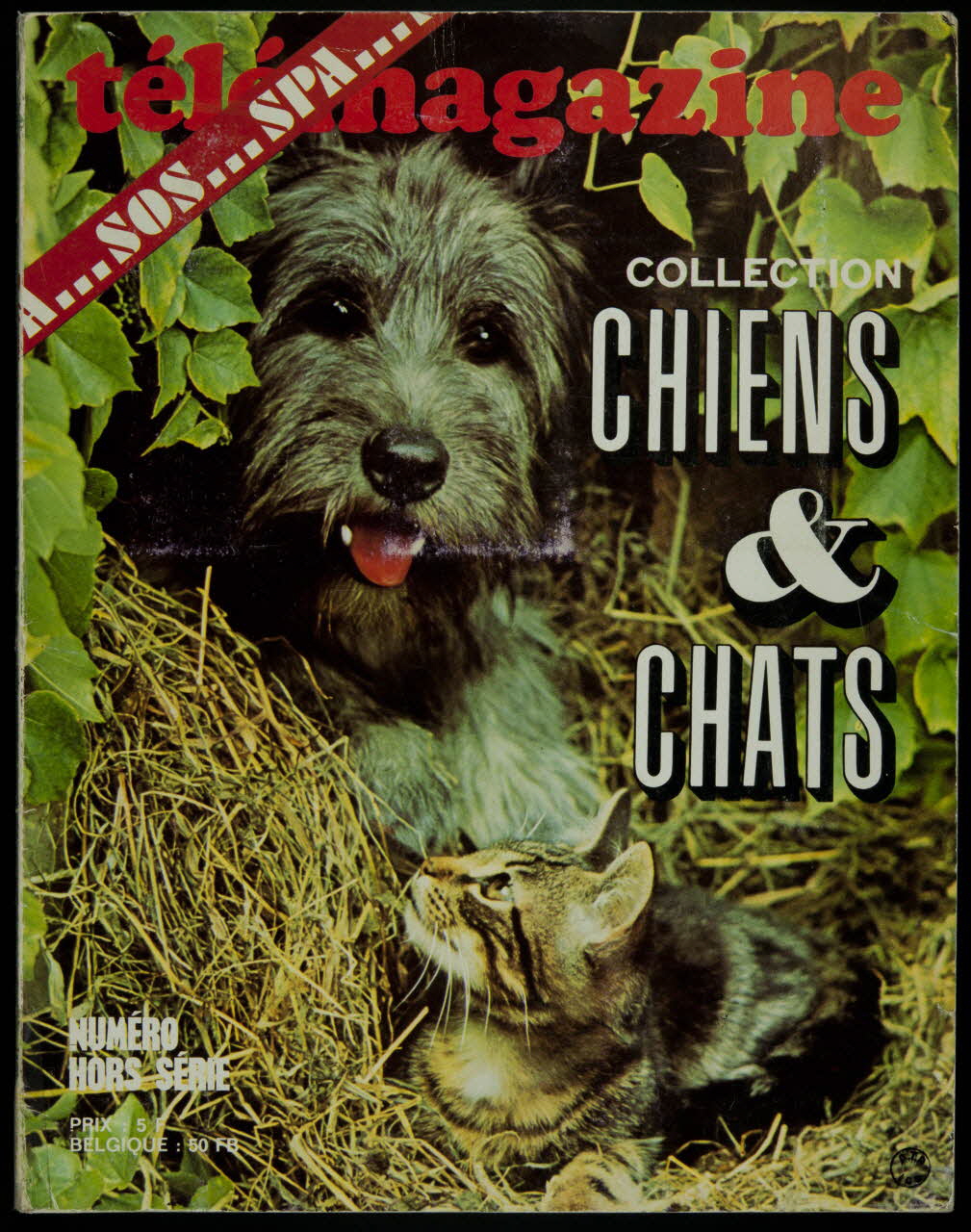 album SOS... SPA...  télémagazine  COLLECTION  CHIEN  &  CHATS  NUMERO  HORS SERIE France 1972 2007.46.323 Photo