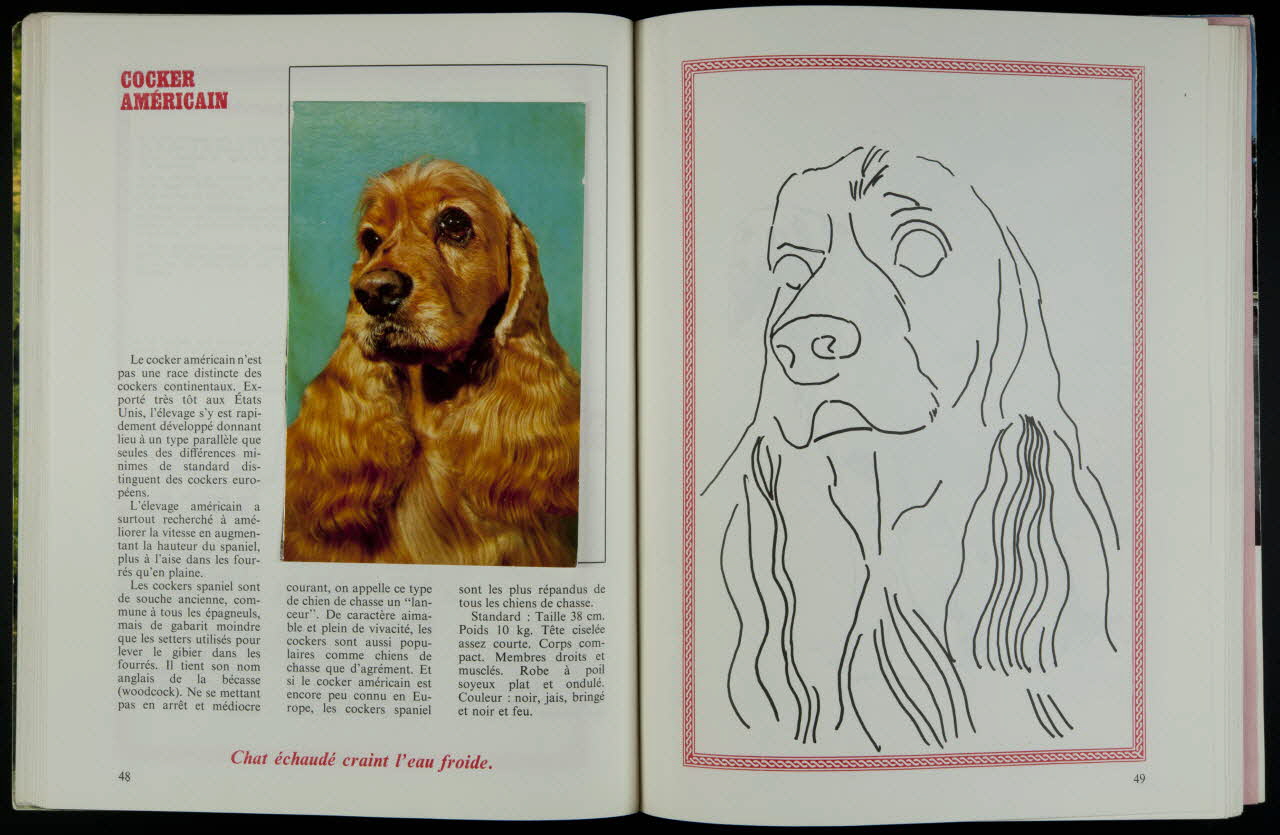 album SOS... SPA...  télémagazine  COLLECTION  CHIEN  &  CHATS  NUMERO  HORS SERIE France 1972 2007.46.323 Photo