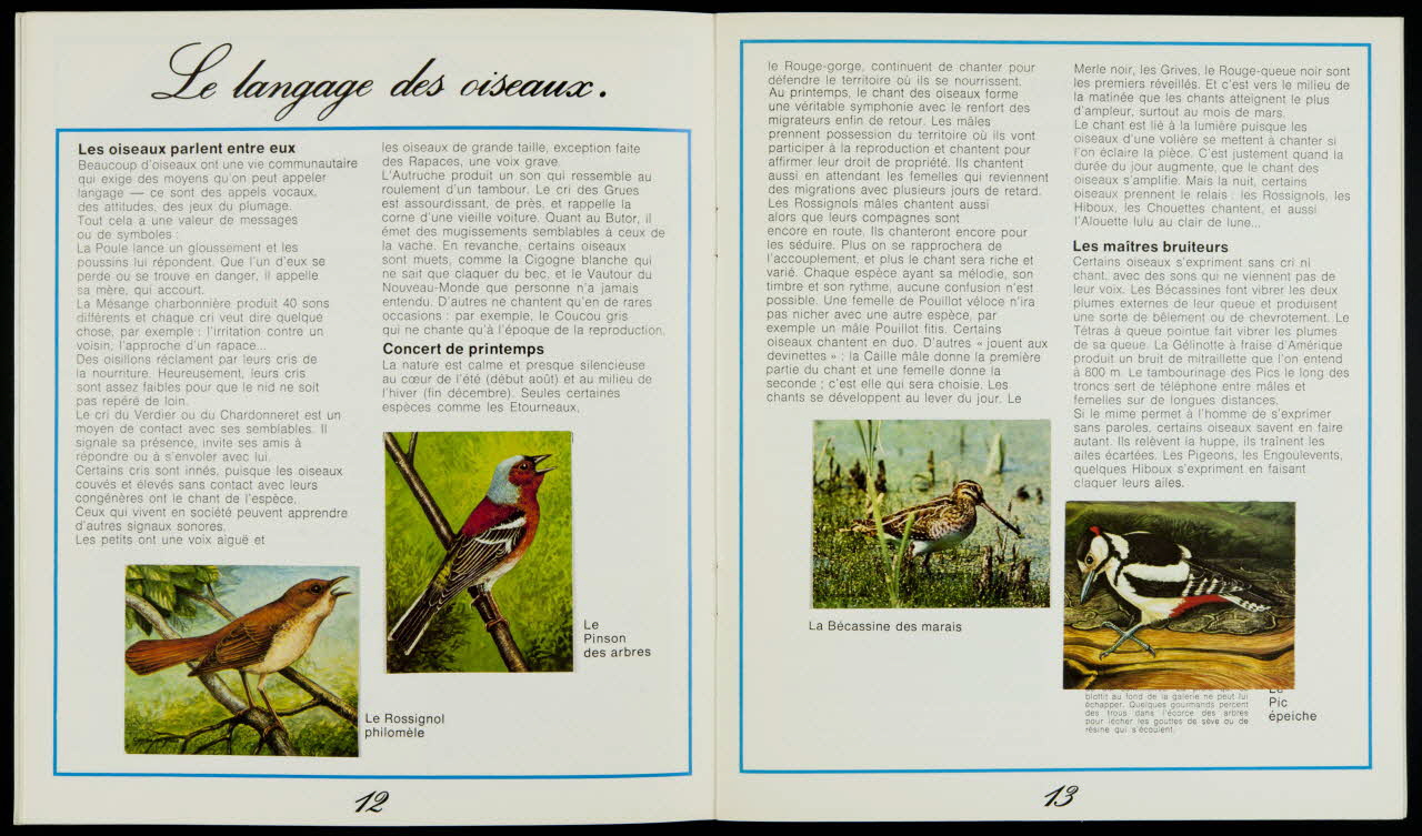 album Il était  une fois...  l'oiseau Champagne-Ardenne, France 1965-1975 2007.46.33 Photo