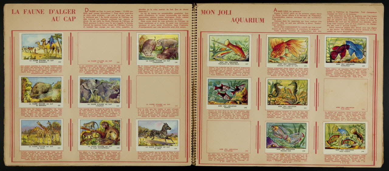 album les  Belles Images  TOME II  16me EDITION  EDITE PAR LA  CHOCOLATERIE  DE L'UNION France 1959 2007.46.333 Photo