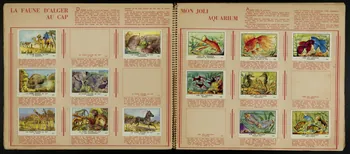 album les  Belles Images  TOME II  16me EDITION  EDITE PAR LA  CHOCOLATERIE  DE L'UNION France 1959 2007.46.333 Photo
