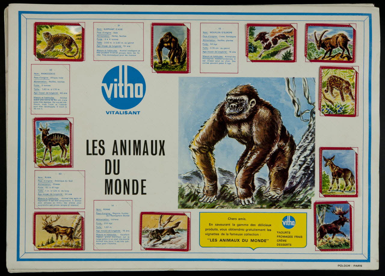 album LES ANIMAUX  DU  MONDE France 1960-1970 2007.46.339 Photo